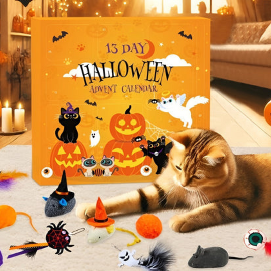 Calendrier de l'Avent Chat